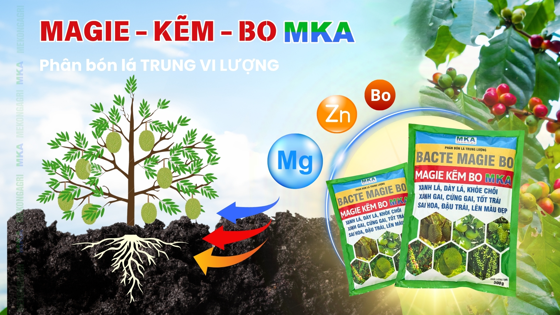 Trung vi lượng Magie kẽm bo MKA